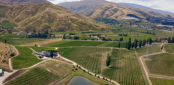 A 20 year Pinot Noir Journey with Felton Road's Blair Walter.