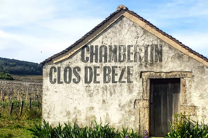Domaine Armand Rousseau - Chambertin Clos de Bèze Grand Cru 2009